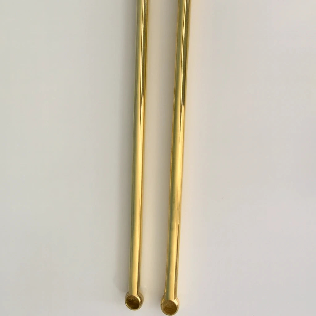 Pair of polished brass ceiling-mounted rods with flat round end caps, minimalist design against a white background