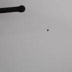 Iron curtain rods,Black wrought iron Curtain rods and Brackets . DDP Express Shipping - AtlasFinest