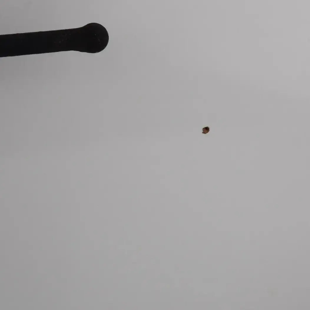 Iron curtain rods,Black wrought iron Curtain rods and Brackets . DDP Express Shipping - AtlasFinest